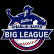 BIG LEAGUE BASEBALL ACADEMY